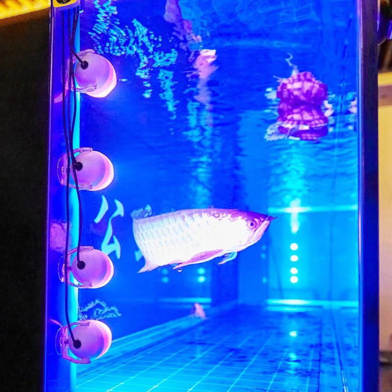Podvodne Luči Doma Nepremočljiva Sedem Barve Potopljena Lučka Bazen Pozornosti Aquascape Dekorativni Vzdušje Fish Tank Razsvetljavo
