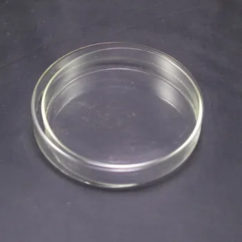 Petrijevkah 150mm s pokrovi prozornega stekla labware