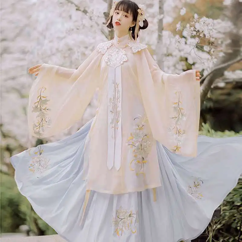 Ženske Jeseni in Pozimi Slog Han Obleko Izdelano V Ming Dinastija Kitajski Stil Oblačenja Tradicionalnih Hanfu Obleko za Ženske